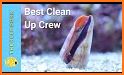 Cleanup Crew 3D related image