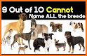 Dog Quiz Guess Dog Names Test ❓🐕⁉🐶❤ related image