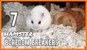 Hamster VPN related image
