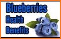 Blueberry related image