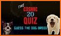 Dogs Quiz - Guess Popular Dog Breeds on the Photos related image