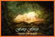 Forest Fairy Magical Night Theme related image