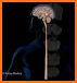 NEUROANATOMY - Digital Atlas related image