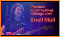 Pitchfork Music Festival related image