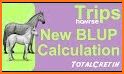 Total Horse Calculator related image