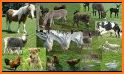 Animals - Zivotinje related image