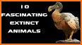 Extinct animals, endangered species! Rare animals related image