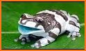 Amazing Amphibians related image