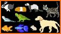 Puzzle Game Animals Birds and Fish for Toddlers related image