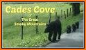 Cades Cove related image