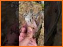 Fish & Catch related image