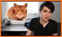 My Hamster Story related image