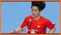 Republic of Handball related image