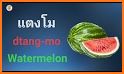Romanian - Thai Dictionary (Dic1) related image