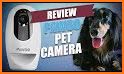 Look Here - Pet Camera related image