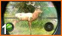 Hunting Clash 2020: Wild hunter shooting Simulator related image