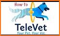 TeleVet - For Vets related image