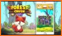 Forest Crush related image