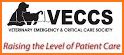 IVECCS 2018 related image