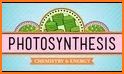 PhotoSynthesize related image