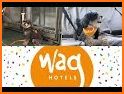 Wag Hotels related image