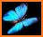 Rose Blue Butterfly Keyboard Background related image