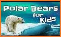 Polar Bear Cub for kids 3-5 related image