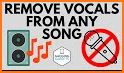 Split: Vocal Remover, Instrument Remover, Karaoke related image