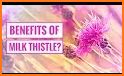 Thistle related image