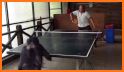 Ping Pong Hames - Sports Gams related image
