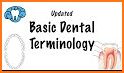 DENTAL MORPHOLOGY for Student related image