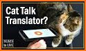 Meow Translator : How to understand your kittens related image