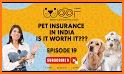 Woof – Pet Safety related image