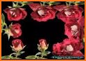 Red Roses Love Gif 🌹 related image