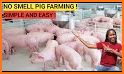 My Piggery Manager - Farm app related image