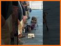 Sniffy Dog related image