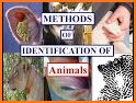 Animal Identifier related image