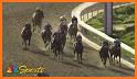 Horse Racing News related image