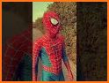 Spider Master related image