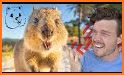 Quokka Bounce related image