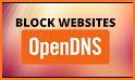 OpenDNS Updater related image
