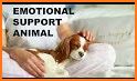 TheraPetic | Service Dog / ESA Support Animal related image