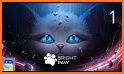 Bright Paw related image