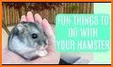 Hamster VPN related image