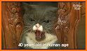 Cats & Critters Vet related image