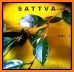 Sattva -  Meditation App related image