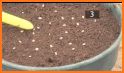Seeds - Planting (Guide) related image