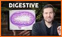 Histology Game: GI Edition related image