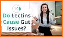 LECTIN GUIDE related image