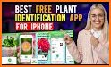 Scan Plant ID: Plant identification free- Tree app related image